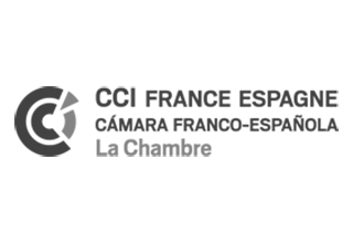 LogoCcife3